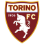 Transfernieuws Torino